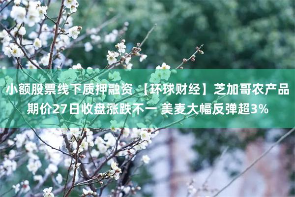 小额股票线下质押融资 【环球财经】芝加哥农产品期价27日收盘涨跌不一 美麦大幅反弹超3%