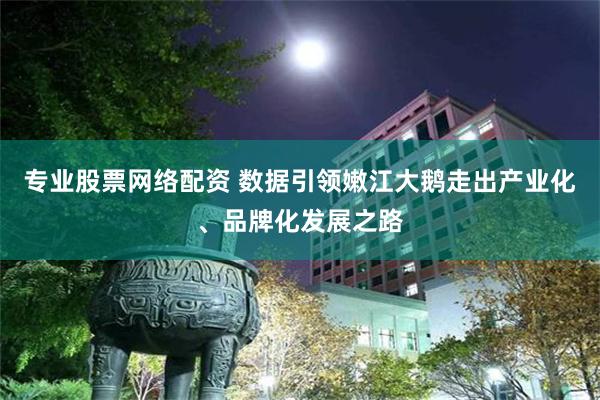 专业股票网络配资 数据引领嫩江大鹅走出产业化、品牌化发展之路