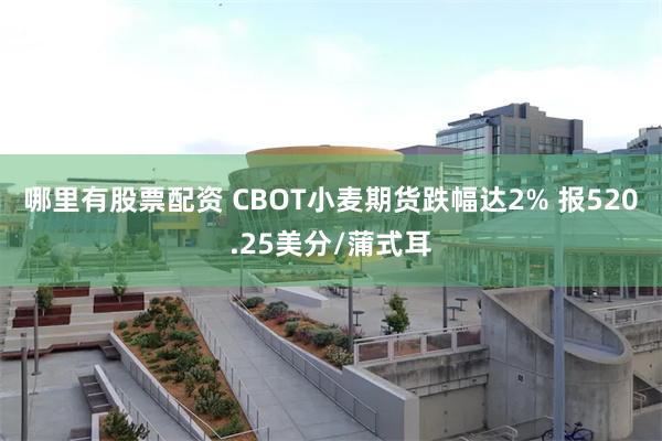 哪里有股票配资 CBOT小麦期货跌幅达2% 报520.25美分/蒲式耳