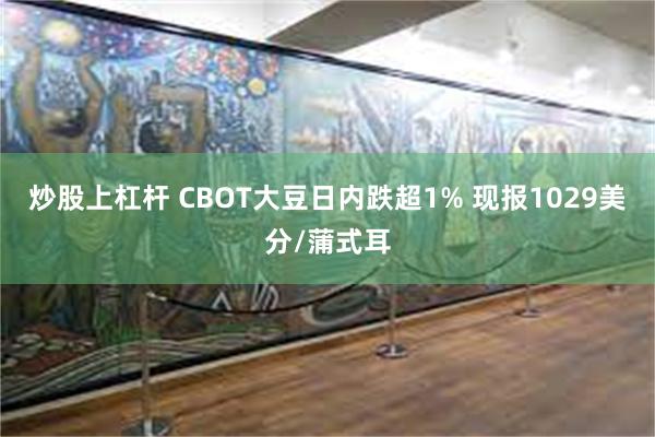 炒股上杠杆 CBOT大豆日内跌超1% 现报1029美分/蒲式耳