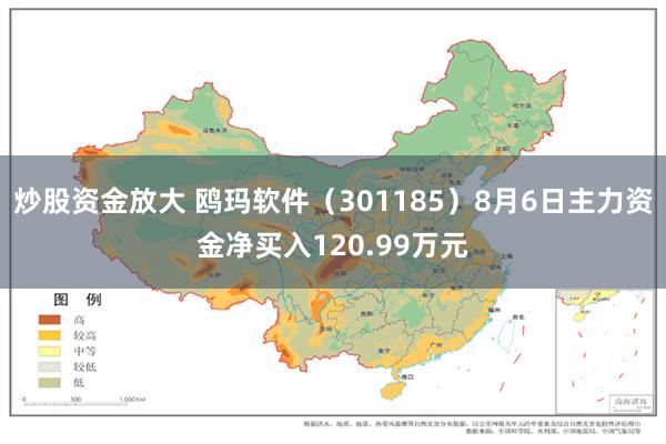 炒股资金放大 鸥玛软件（301185）8月6日主力资金净买入120.99万元