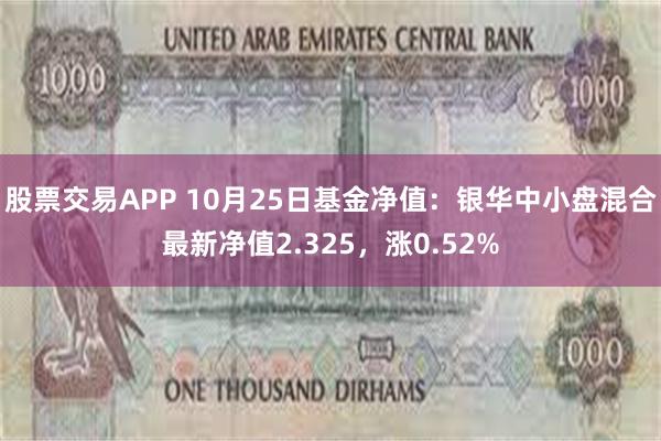 股票交易APP 10月25日基金净值：银华中小盘混合最新净值2.325，涨0.52%