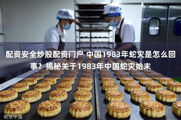 配资安全炒股配资门户 中国1983年蛇灾是怎么回事？揭秘关于1983年中国蛇灾始末