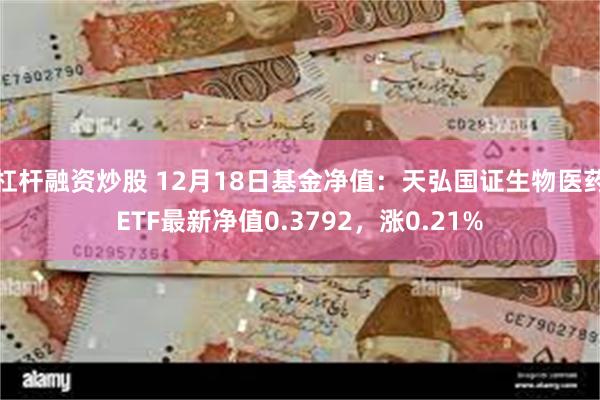 杠杆融资炒股 12月18日基金净值：天弘国证生物医药ETF最新净值0.3792，涨0.21%