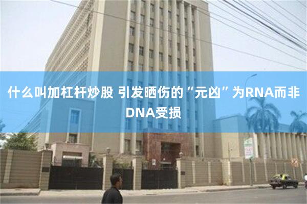 什么叫加杠杆炒股 引发晒伤的“元凶”为RNA而非DNA受损