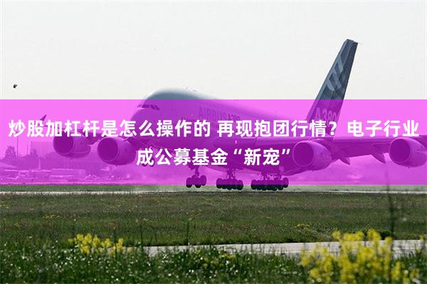 炒股加杠杆是怎么操作的 再现抱团行情？电子行业成公募基金“新宠”