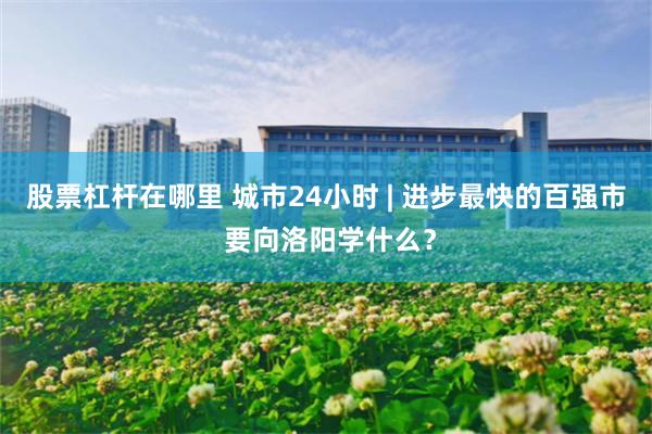 股票杠杆在哪里 城市24小时 | 进步最快的百强市 要向洛阳学什么？