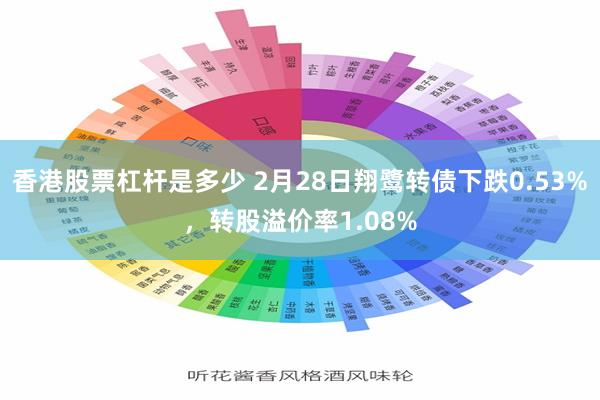 香港股票杠杆是多少 2月28日翔鹭转债下跌0.53%，转股溢价率1.08%