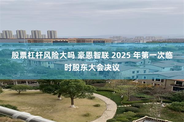 股票杠杆风险大吗 豪恩智联 2025 年第一次临时股东大会决议